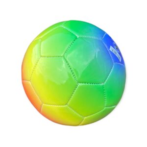 Guardian Master Rainbow fodbold Str.4