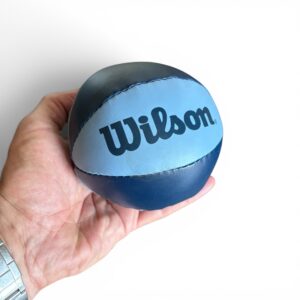 Wilson NBA Mini Skumbold – Ø11 cm