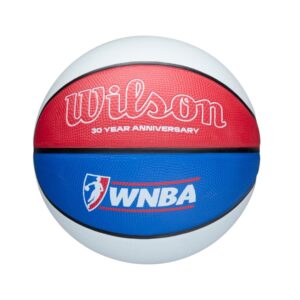 Wilson WNBA 30th Anniversary Outdoor Basketball Str.6